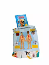 MY FOLD OUT ATLAS HUMAN BODY